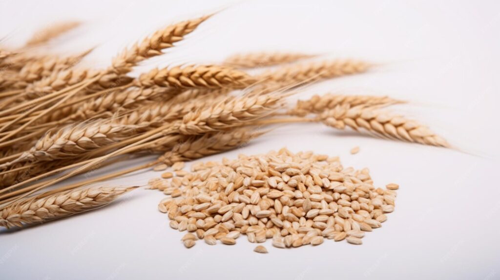 L’Éveil des grains (by Alison) nouveauté